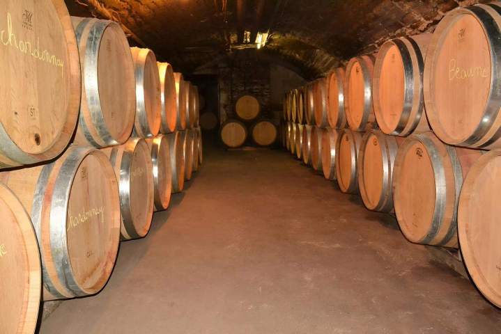 Tradition viticole familiale à Chassey-le-Camp