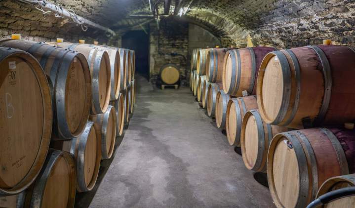 Producteur de vins - Chassey-le-Camp