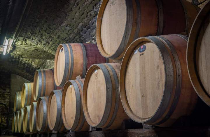 Viticulture Chassey-le-Camp