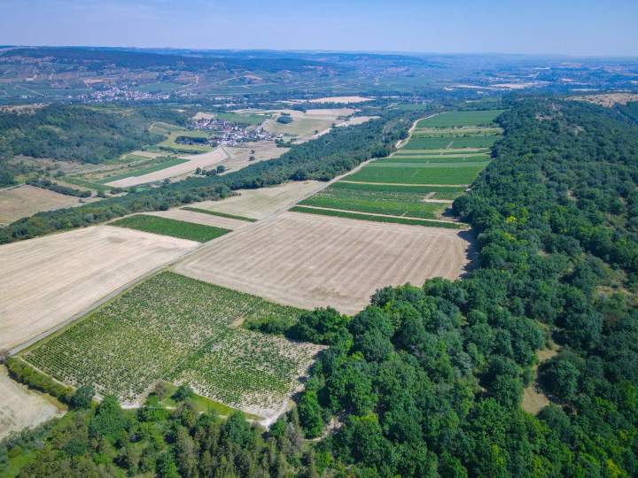 Visiter notre vignoble Chassey-le-Camp