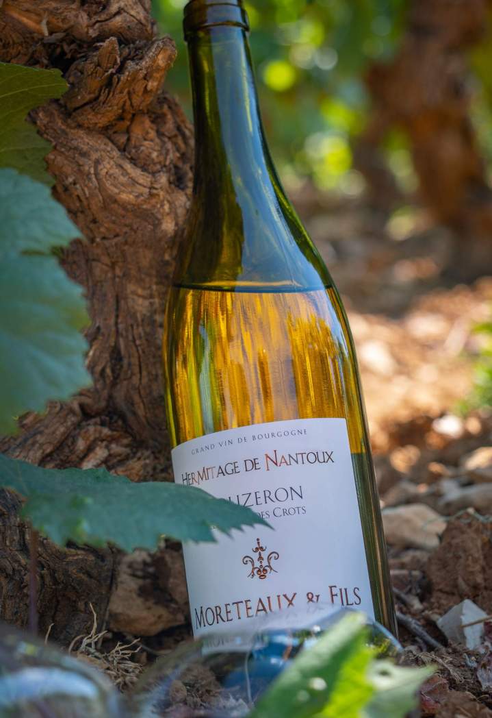 Producteur de vins à Chassey-le-Camp