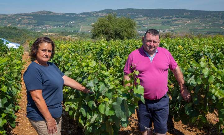 Producteur de vins - Chassey-le-Camp