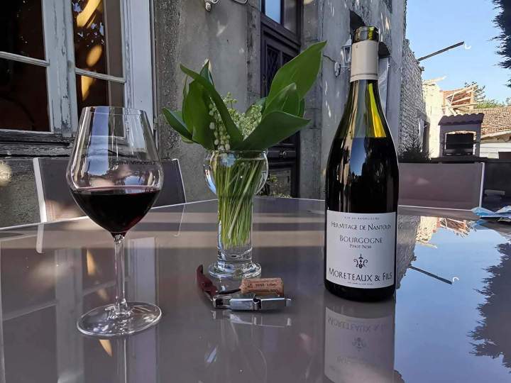 Déguster du vin Chassey-le-Camp